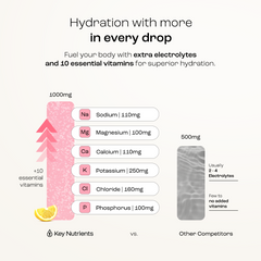 Electrolyte Recovery Plus Powder (Sugar-Free)