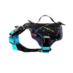 K9R - M5 MOLLE Light Vest