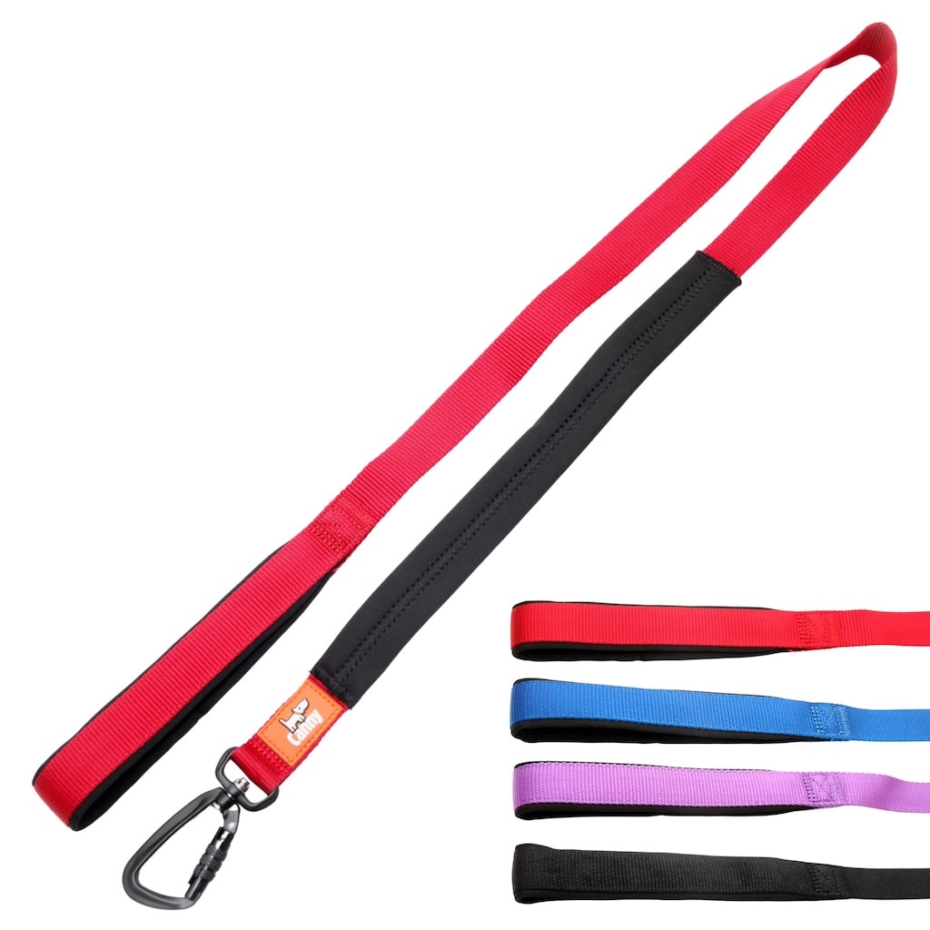 Canny Leash