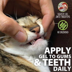 Feline Oral Care Gel