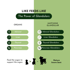 PRE-ORDER Holistic Total Body Support — Daily Multivitamin & Pasture-Raised Glandular Blend for Dogs & Cats