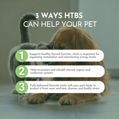 PRE-ORDER Holistic Total Body Support — Daily Multivitamin & Pasture-Raised Glandular Blend for Dogs & Cats