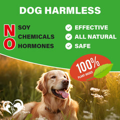 Dog Hip & Joint Chews Arthritis Pain Relief Glucosamine Chondroitin MSM & Turmeric