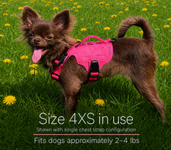 K9R - M5 MOLLE Light Vest
