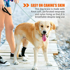 NeoAlly Dog Rear Leg Hock Brace with Safety Reflective Straps for Large Dogs [Long Version]